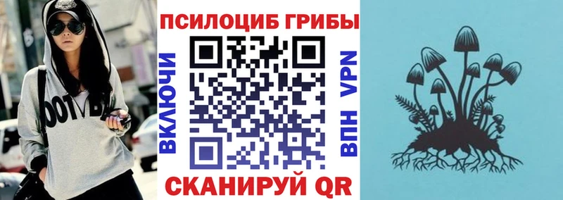 Галлюциногенные грибы MAGIC MUSHROOMS Чкаловск
