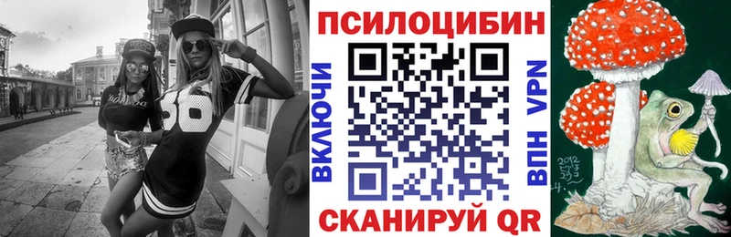 Галлюциногенные грибы Magic Shrooms  Купить  Чкаловск 